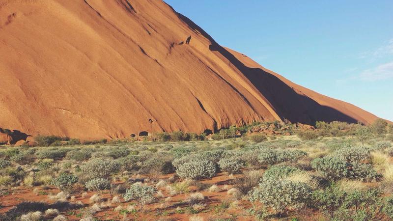 Featured image for Agntapi Com article