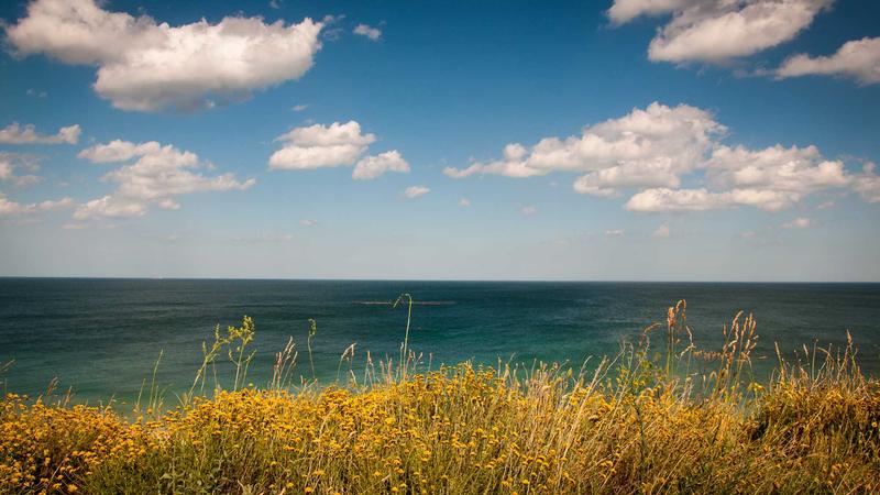 Featured image for Agntapi Com article