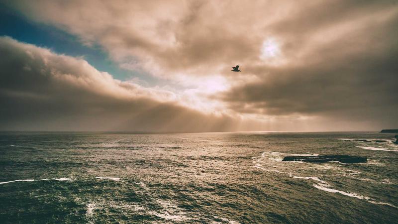 Featured image for Agntapi Com article