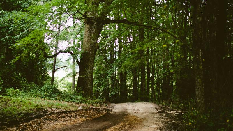 Featured image for Agntapi Com article