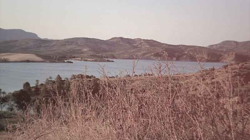 Featured image for Agntapi Com article