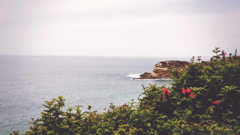 Featured image for Agntapi Com article