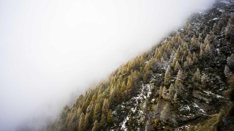 Featured image for Agntapi Com article