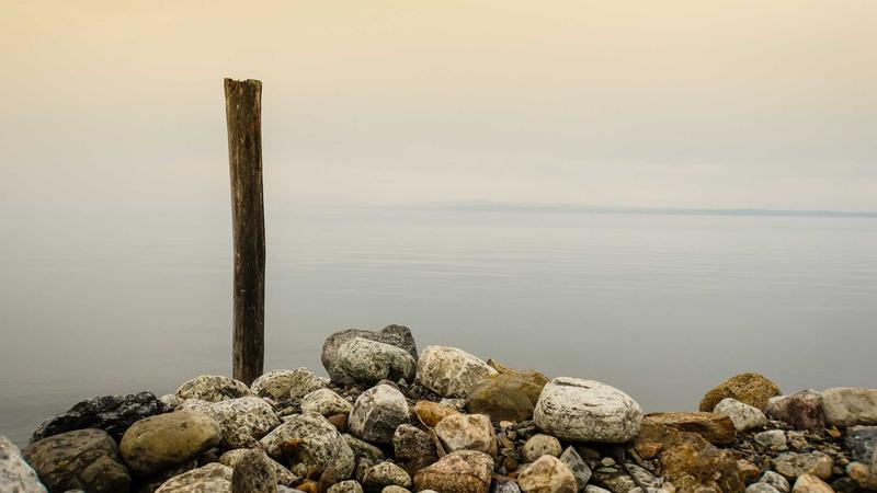 Featured image for Agntapi Com article