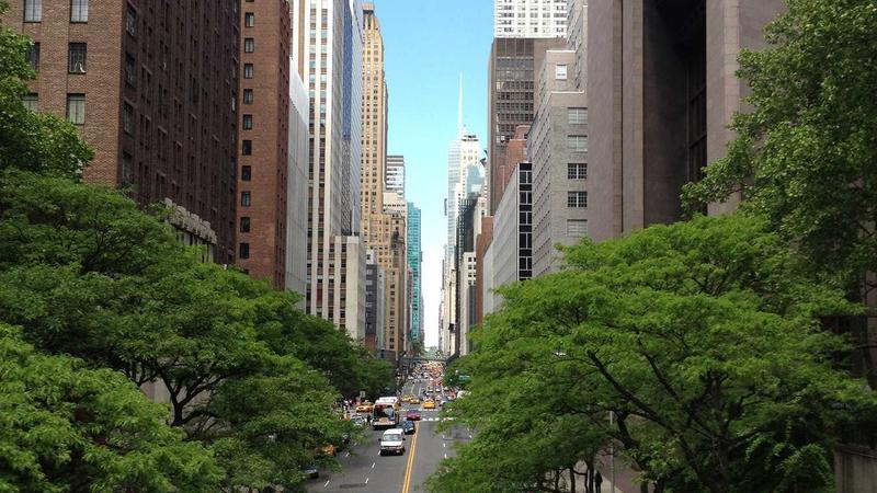 Featured image for Agntapi Com article