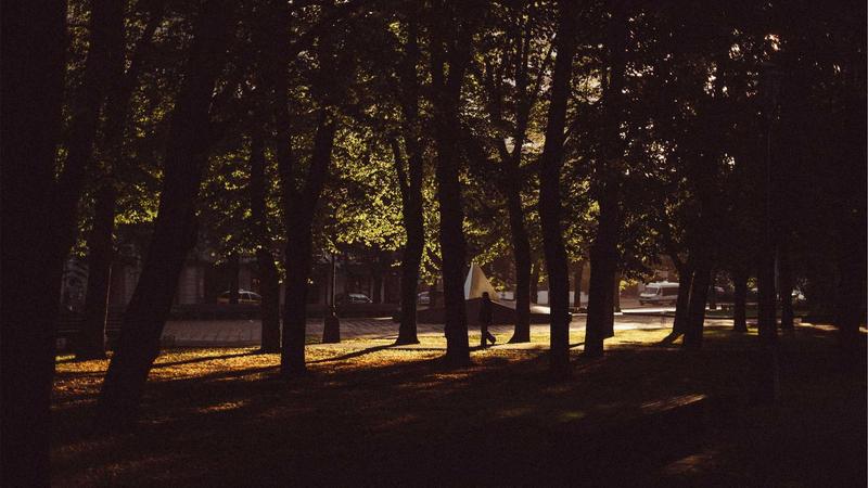 Featured image for Agntapi Com article