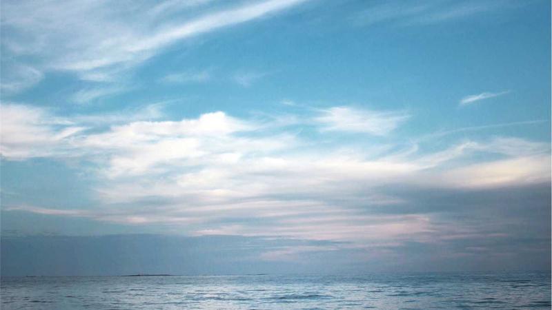 Featured image for Agntapi Com article