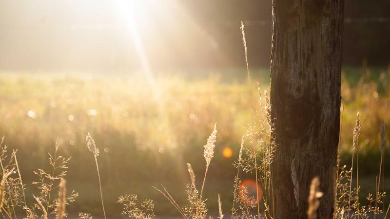 Featured image for Agntapi Com article