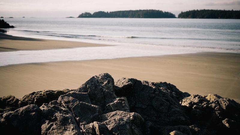 Featured image for Agntapi Com article